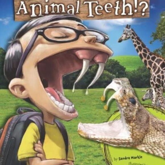 SET OF 20 Children’s Books “What If You Had Animal Teeth” Classroom Set NWT - Picture 9 of 12